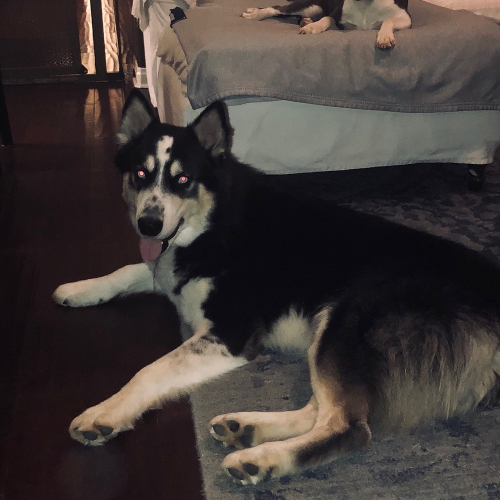 Meet your Posher, Shawna